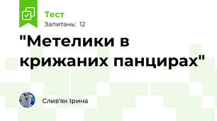 "Метелики в крижаних панцирах"