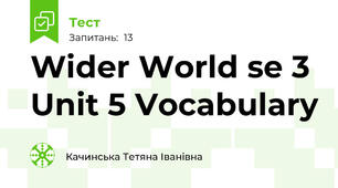 Wider World se 3 Unit 5 Vocabulary