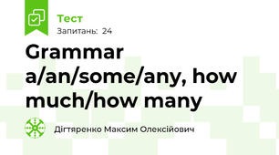 Grammar a/an/some/any, how much/how many