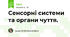 Сенсорні системи та органи чуття.