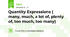 Quantity Expressions ( many, much, a lot of, plеnty of, too much, too many)