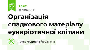Організація спадкового матеріалу еукаріотичної клітини