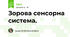 Зорова сенсорна система.