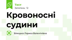 Кровоносні судини 