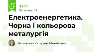 Електроенергетика. Чорна і кольорова металургія