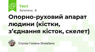 Опорно-руховий апарат людини (кістки, з’єднання кісток, скелет)