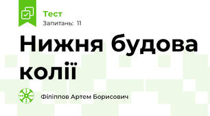 Нижня будова колії