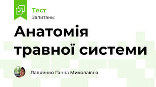 Анатомія травної системи