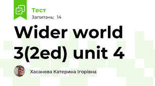 Wider world 3(2ed) unit 4