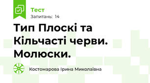 Тип Плоскі та Кільчасті черви. Молюски. 