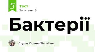 Бактерії