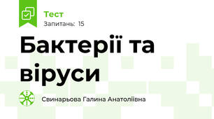 Бактерії та віруси
