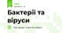 Бактерії та віруси