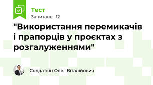 "Використання перемикачів і прапорців у проєктах з розгалуженнями"