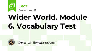 Wider World. Module 6. Vocabulary Test