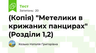 (Копія) "Метелики в крижаних панцирах" (Розділи 1,2)