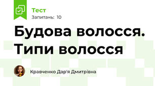 Будова волосся. Типи волосся