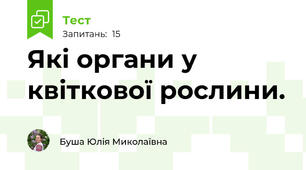 Які органи у квіткової рослини.
