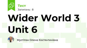 Wider World 3 Unit 6