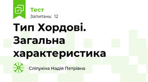 Тип Хордові. Загальна характеристика
