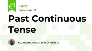 Past Continuous Tense