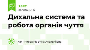 Дихальна система та робота органів чуття