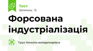 Форсована індустріалізація