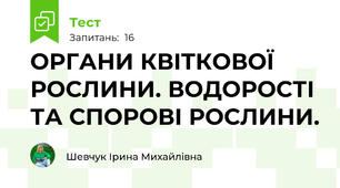  ОРГАНИ КВІТКОВОЇ РОСЛИНИ. ВОДОРОСТІ ТА СПОРОВІ РОСЛИНИ.