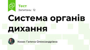 Система органів дихання
