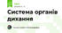 Система органів дихання
