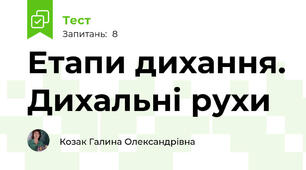 Етапи дихання. Дихальні рухи