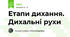Етапи дихання. Дихальні рухи