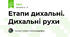 Етапи дихальні. Дихальні рухи