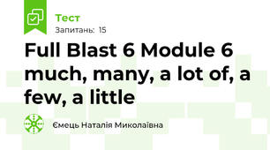 Full Blast 6 Module 6 much, many, a lot of, a few, a little