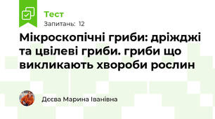  Мікроскопічні гриби: дріжджі та цвілеві гриби. гриби що викликають хвороби рослин