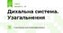 Дихальна система. Узагальнення
