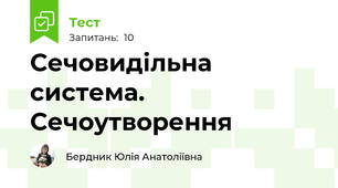 Сечовидільна система. Сечоутворення