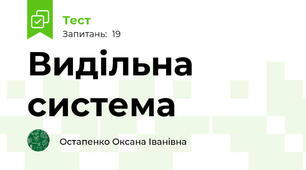  Видільна система
