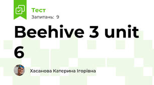 Beehive 3 unit 6