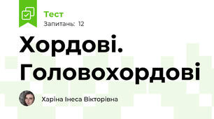 Хордові. Головохордові
