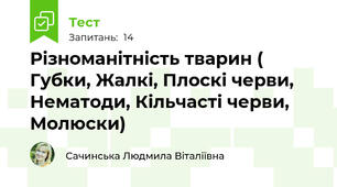 Різноманітність тварин ( Губки, Жалкі, Плоскі черви, Нематоди, Кільчасті черви, Молюски)