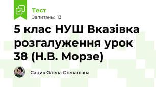 5 клас НУШ Вказівка розгалуження урок 38 (Н.В. Морзе)