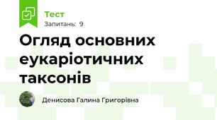 Огляд основних еукаріотичних таксонів