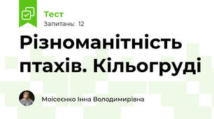 Різноманітність птахів. Кільогруді