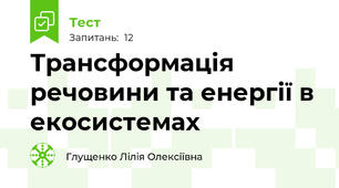 Трансформація речовини та енергії в екосистемах