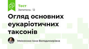 Огляд основних еукаріотичних таксонів