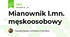 Mianownik l.mn. męskoosobowy