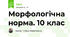 Морфологічна норма. 10 клас