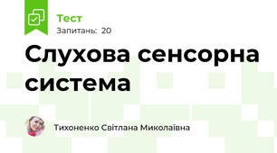Слухова сенсорна система