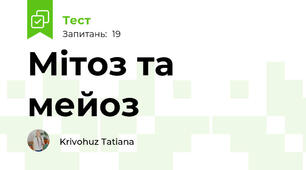Мітоз та мейоз